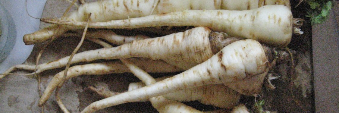 Parsnips