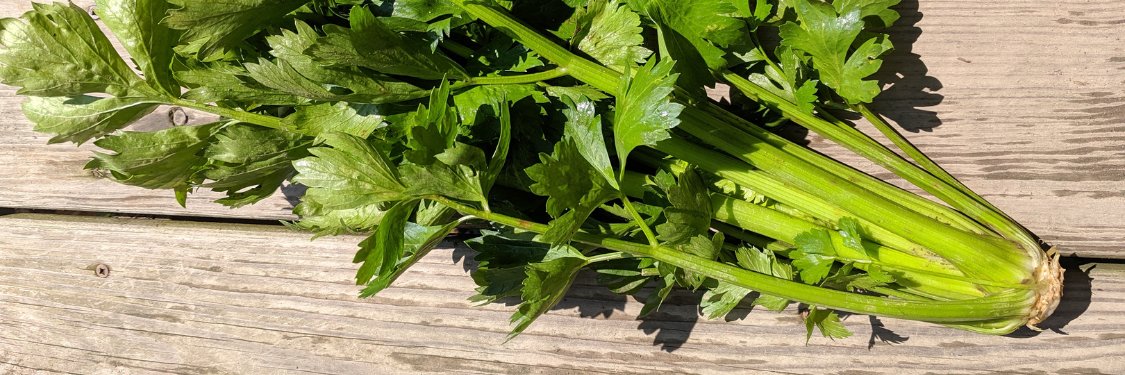 Celery and Celeriac