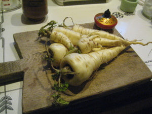 Fresh parsnips, post-scrub.