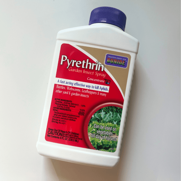 pyrethrin bonide garden insect spray concentrate 16 oz Bonide 8 Oz. Concentrate Pyrethrin Garden Insect Spray