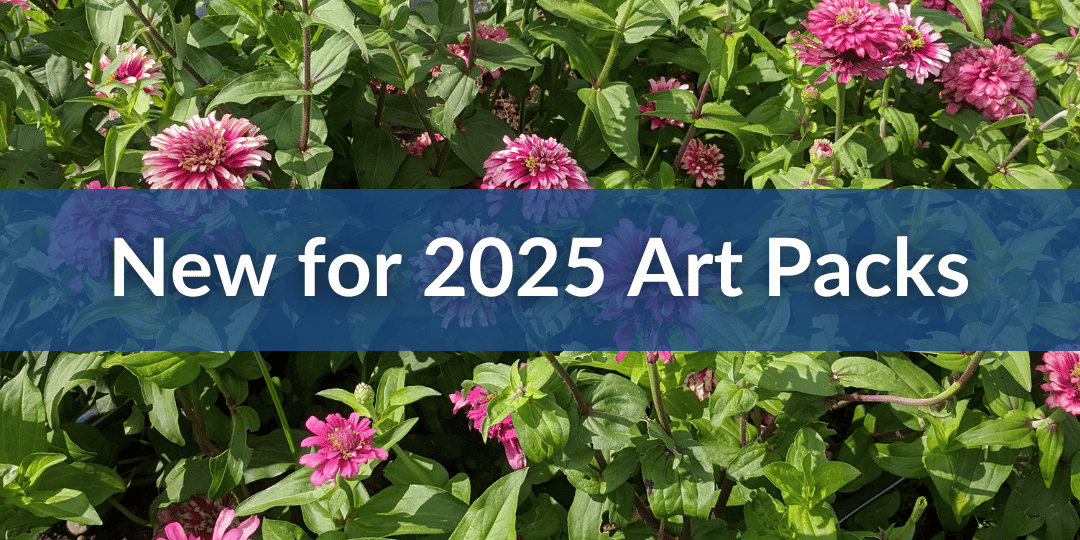 2025 art packs.png__PID:53b4dcc7-e48a-4d2b-aa8a-1135c8e0b8b4