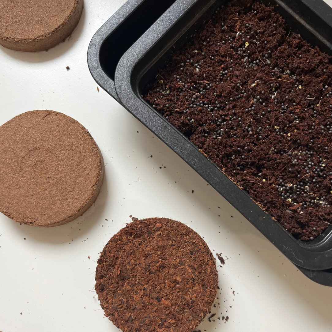 Coir Discs - Set of 12
