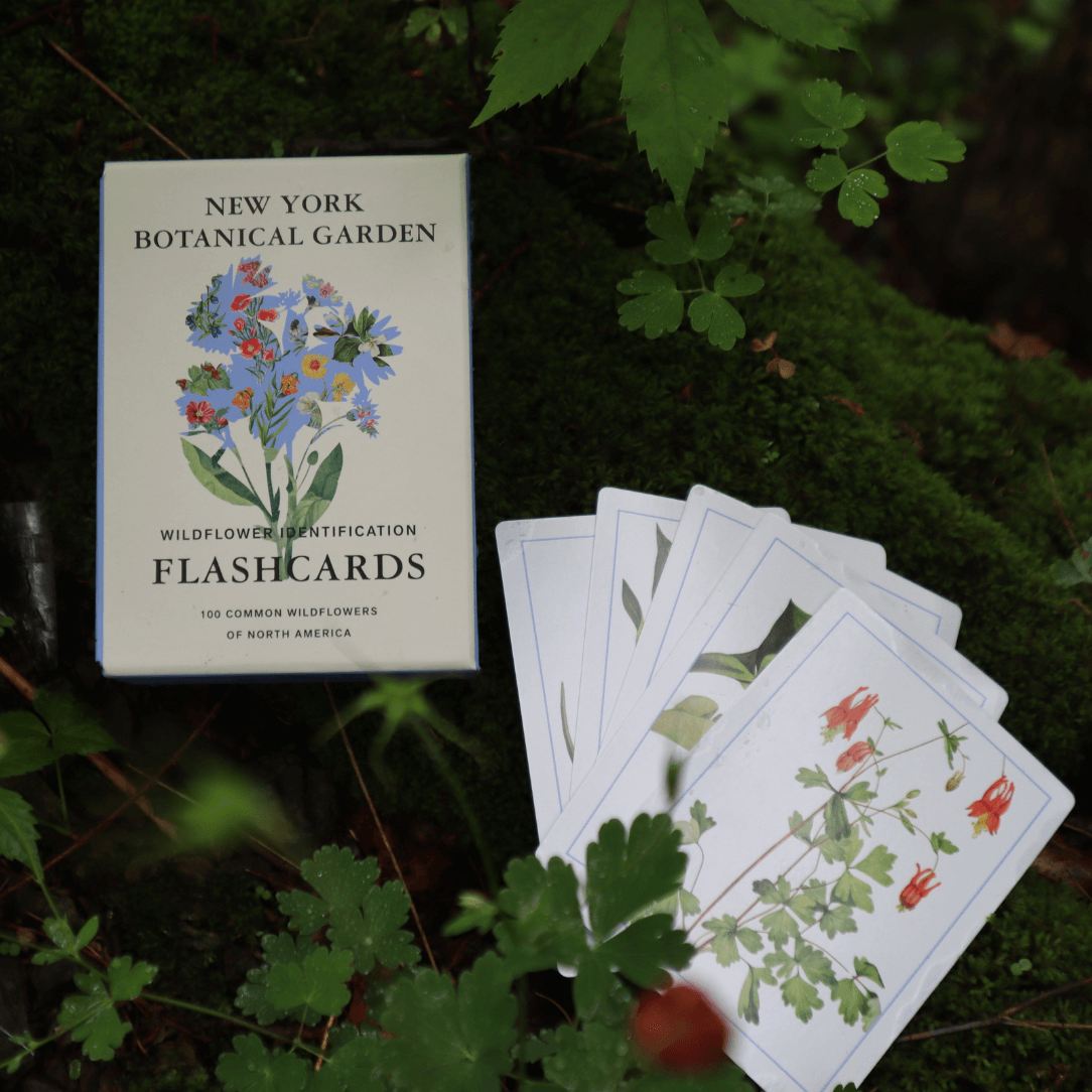 New York Botanical Garden Wildflower Flashcards