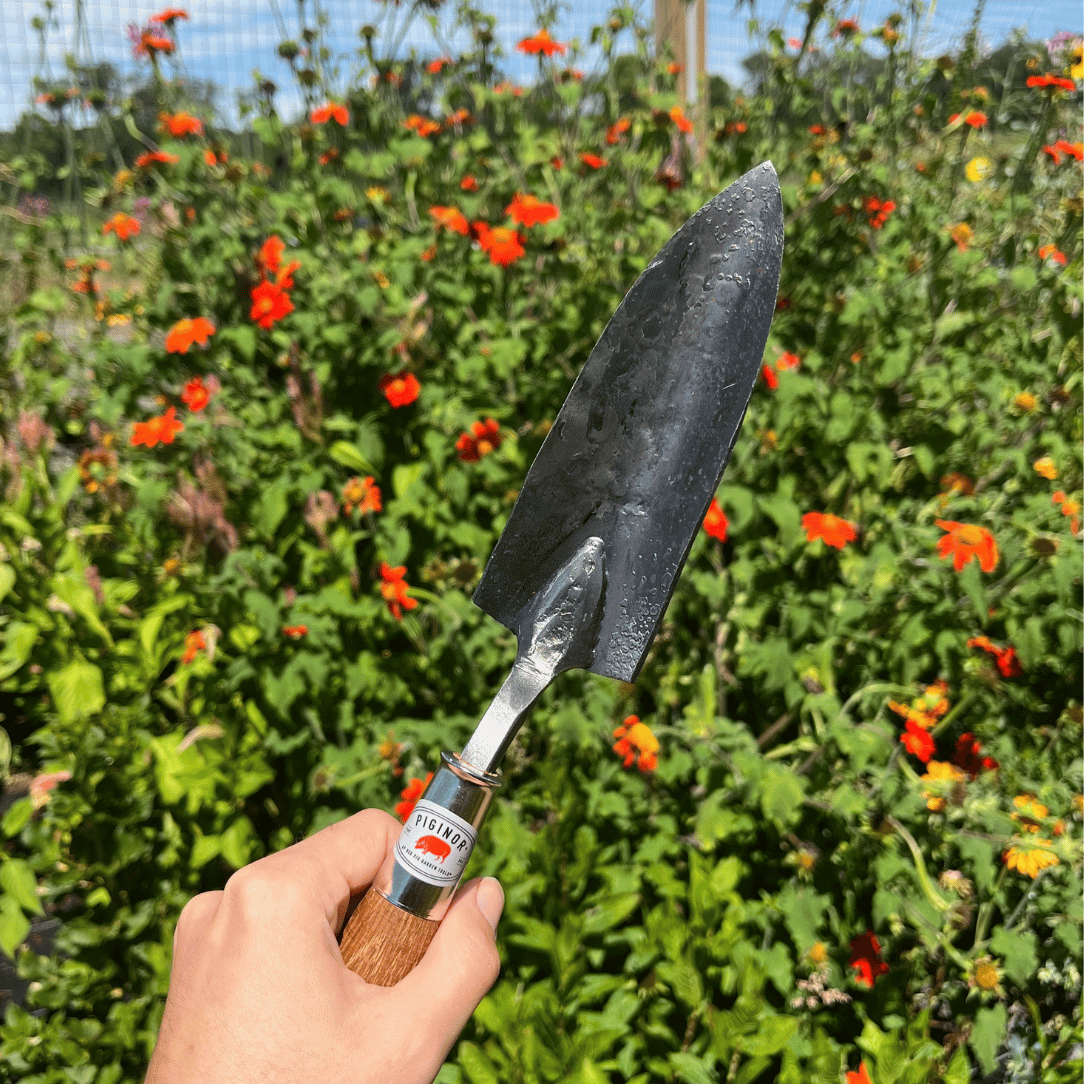 small garden hand trowel Piginor Planting Trowel