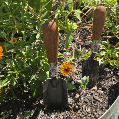 Piginor Planting Trowel