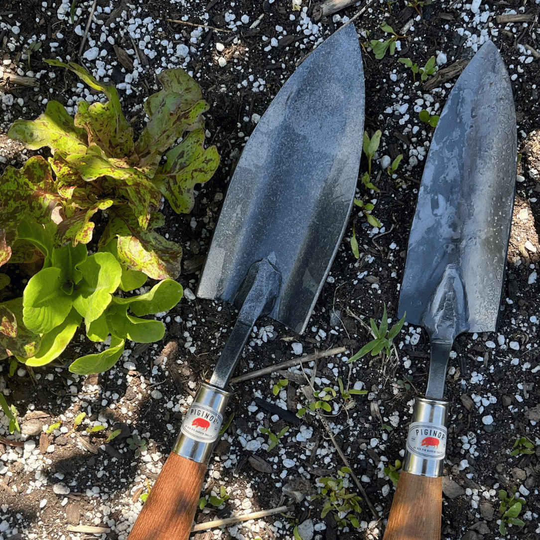 cheap garden trowel Piginor Large Trowel