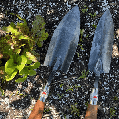 Piginor Planting Trowel