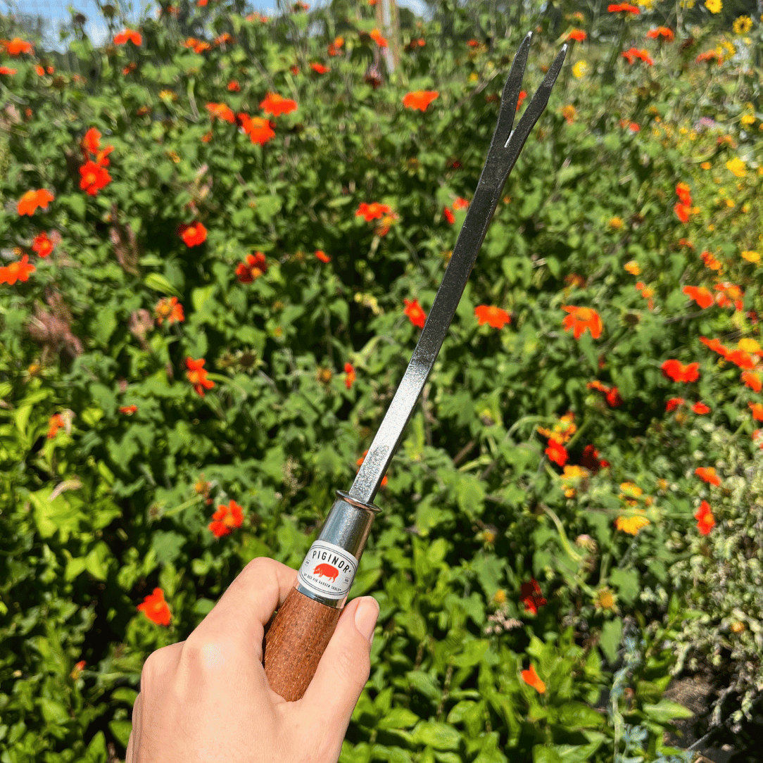 Piginor Dandelion Weeder