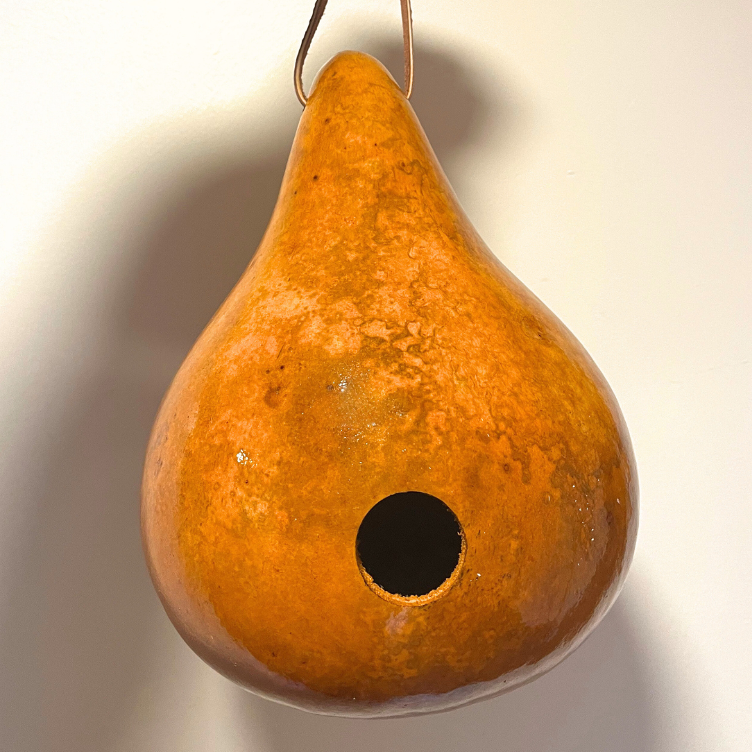 Gourd Bird House