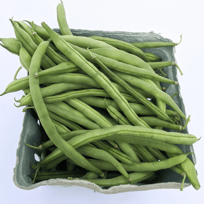 Blue Lake FM-1K Pole Bean