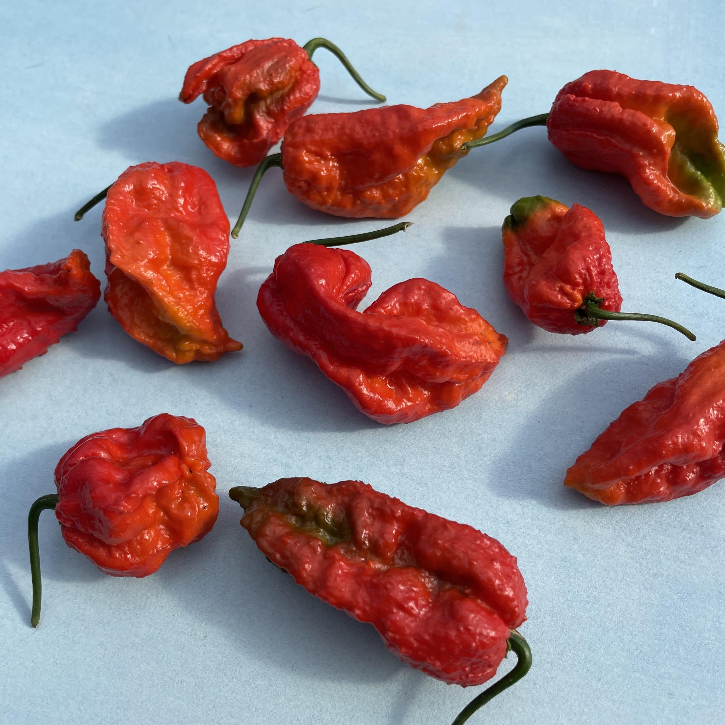 Ghost Pepper