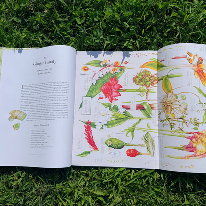 The Album of Plant Families