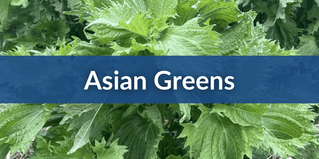 Asian Greens Mobile.png__PID:2825ea60-c0c3-4de8-a85c-965ce8fa2f89