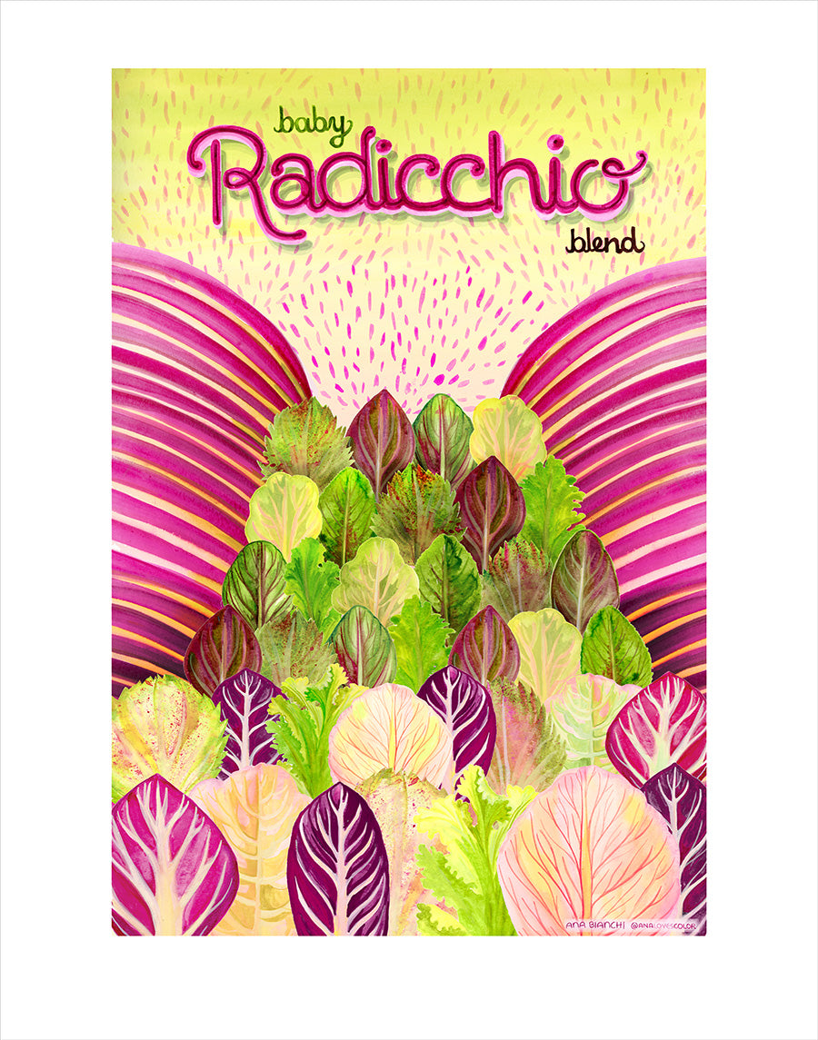 Baby Radicchio Blend Art Print ~Signed~