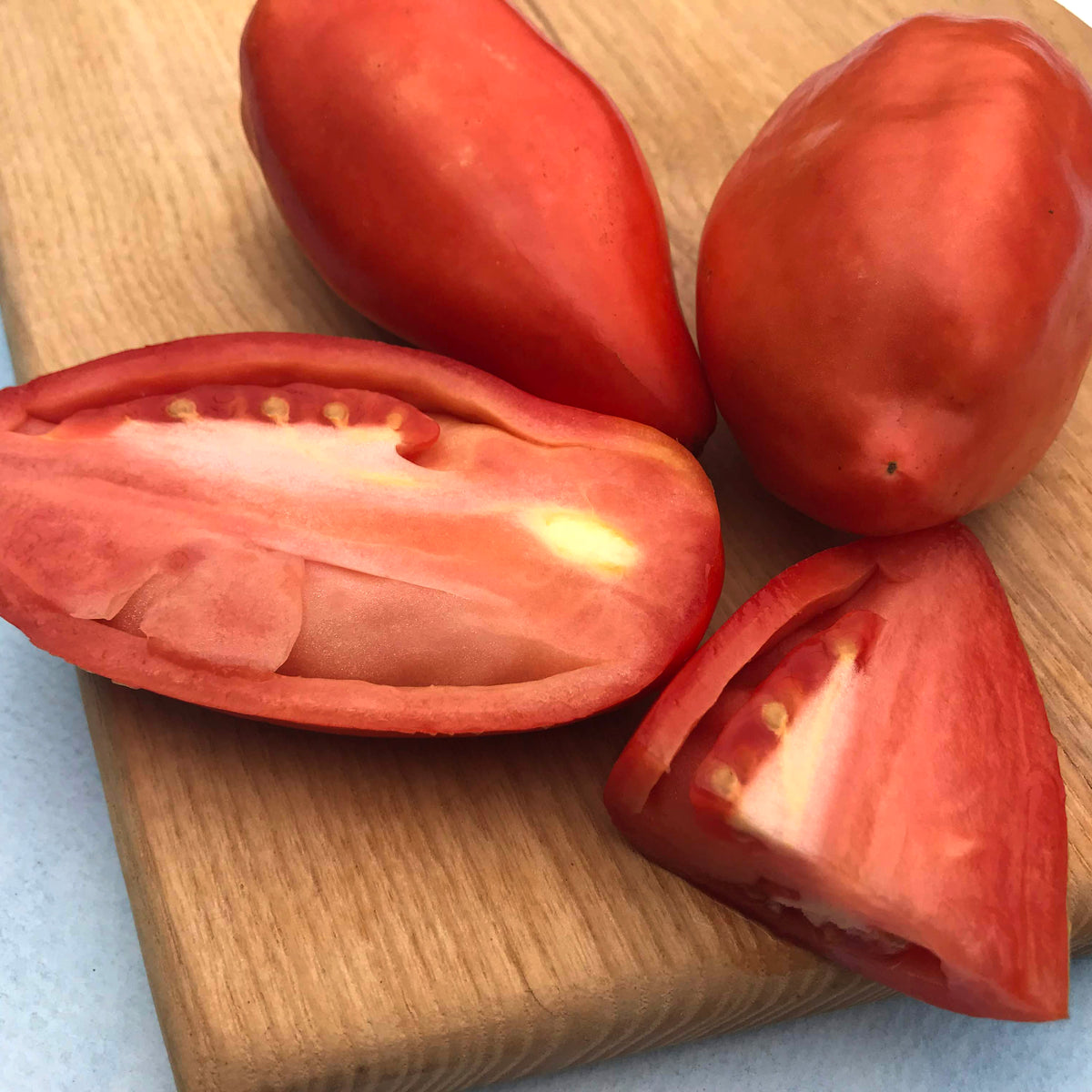 Blue Beech Tomato