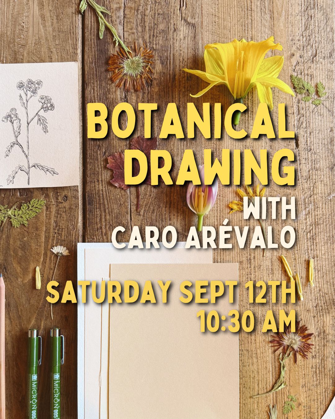 Botanical Drawing with Caro Arévalo - 9/12 - 10:30 am