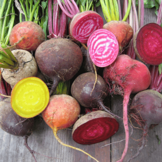 Brilliant Beet Blend