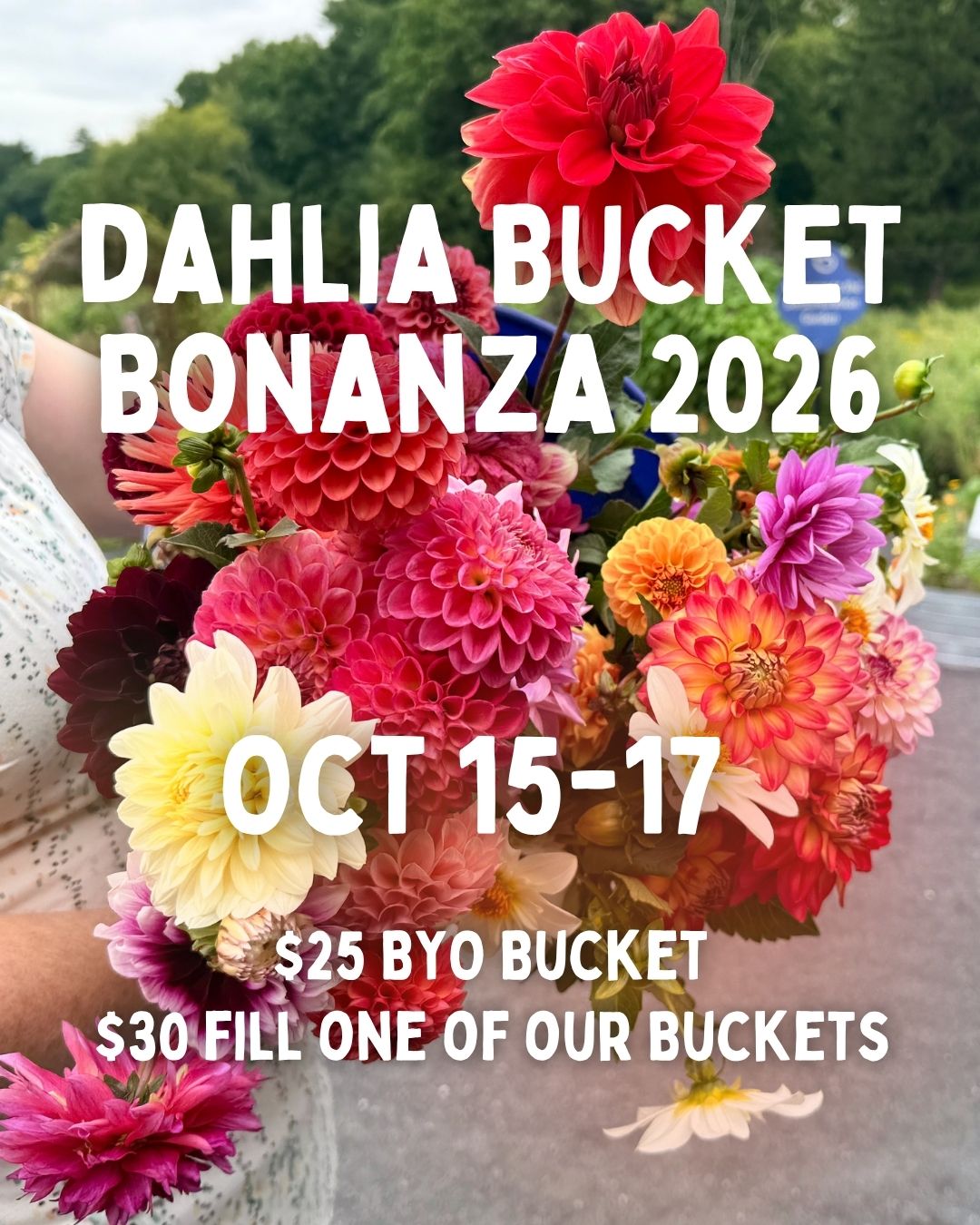 Bucket Bonanza 2026