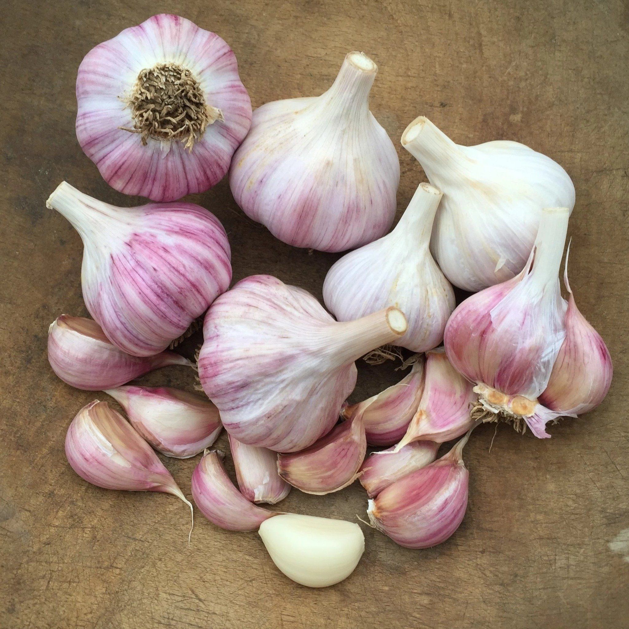 Chesnok-Red-Hardneck-Garlic-vendor-unknown-1630677802 (3).jpg__PID:86b26c8a-d15c-42d2-89ac-722c976e24af