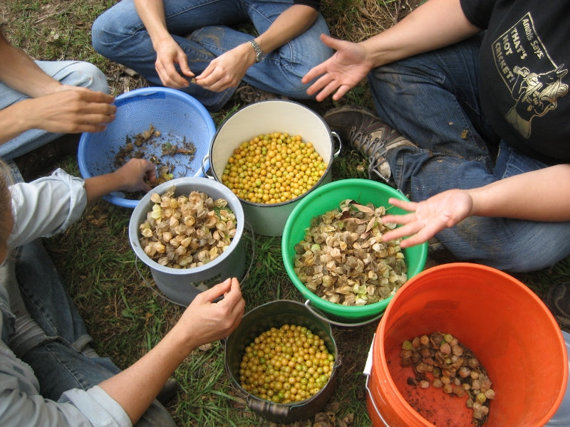 Seed saving workshop at the HV Seed Library