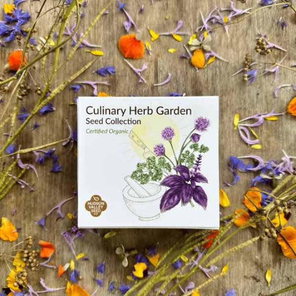 Culinary Herb Garden Seed Collection | Hudson Valley Seed Company