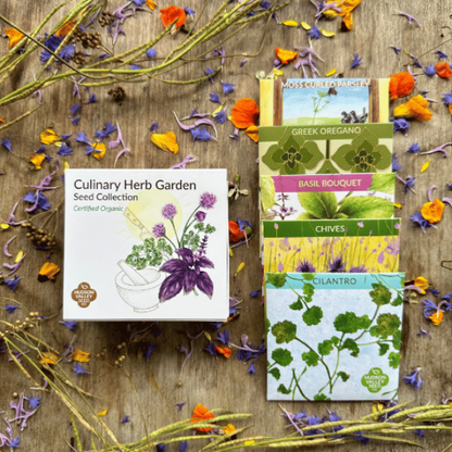 herb garden seed pack Culinary Herb Garden Seed Collection