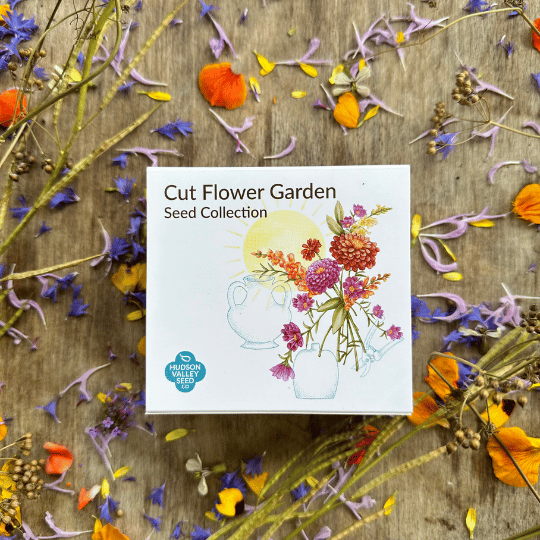 Cut Flower Garden Seed Collection