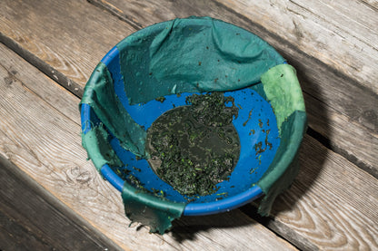 Indigo Processing with Sola Market - Oct 17 - 1:30pm
