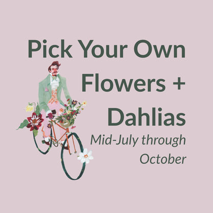 Pick Your Own Flower Bouquet