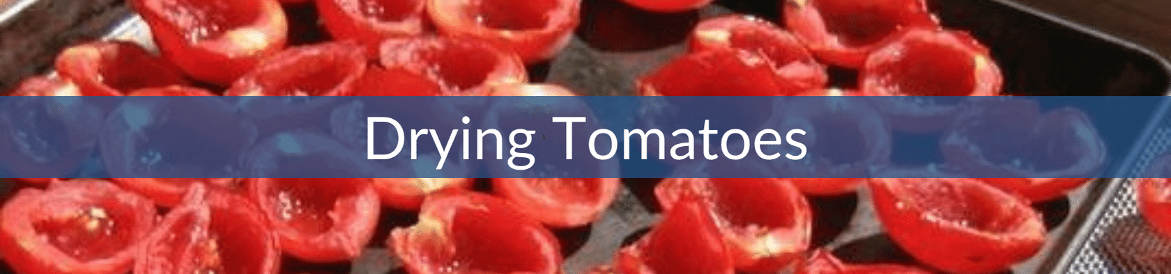 Drying Tomatoes (1) (1).png__PID:57e1dfe5-9b3e-48cf-804e-64322c5945b8