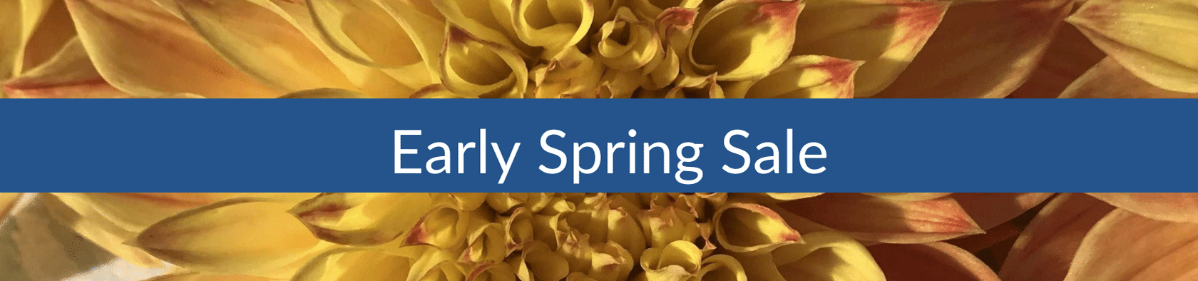 Early Spring Sale (1).png__PID:8dc11f75-30c0-4c76-a8b5-0c75fc3809f4