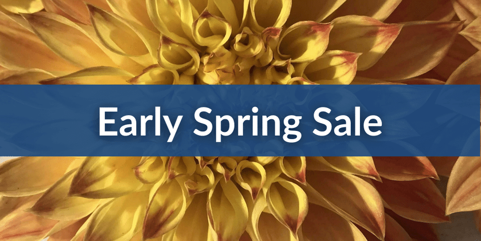 Early Spring Sale Mobile (1).png__PID:1f7530c0-ec76-48b5-8c75-fc3809f494c0