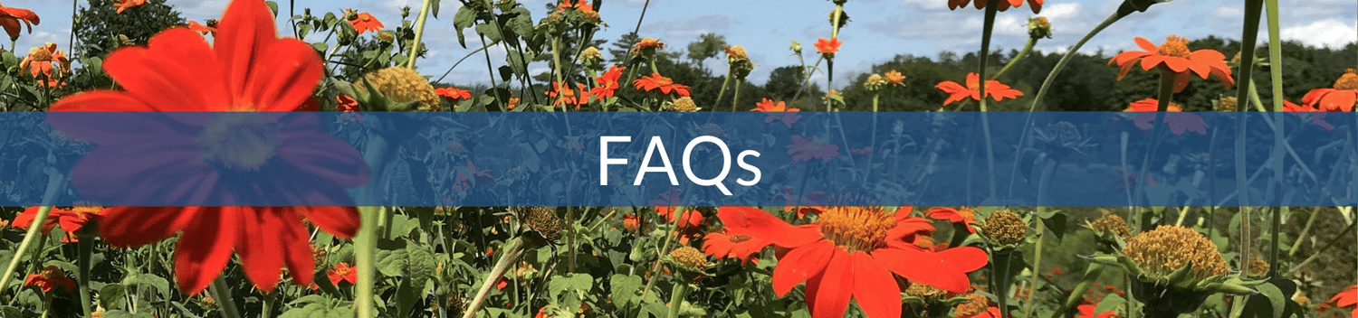 FAQs (2).png__PID:75c2d083-629a-4482-b830-589265d47fe1