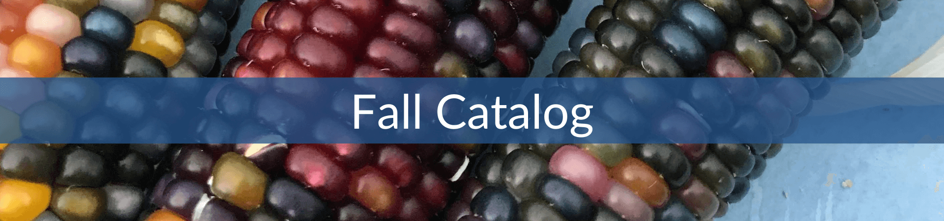 Fall Catalog (1).png__PID:7ae95fee-d872-4655-85aa-3b76bcc9c5a4