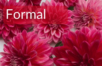 Formal.png__PID:4a4ed063-7b17-4a3b-9183-91e4e301859c