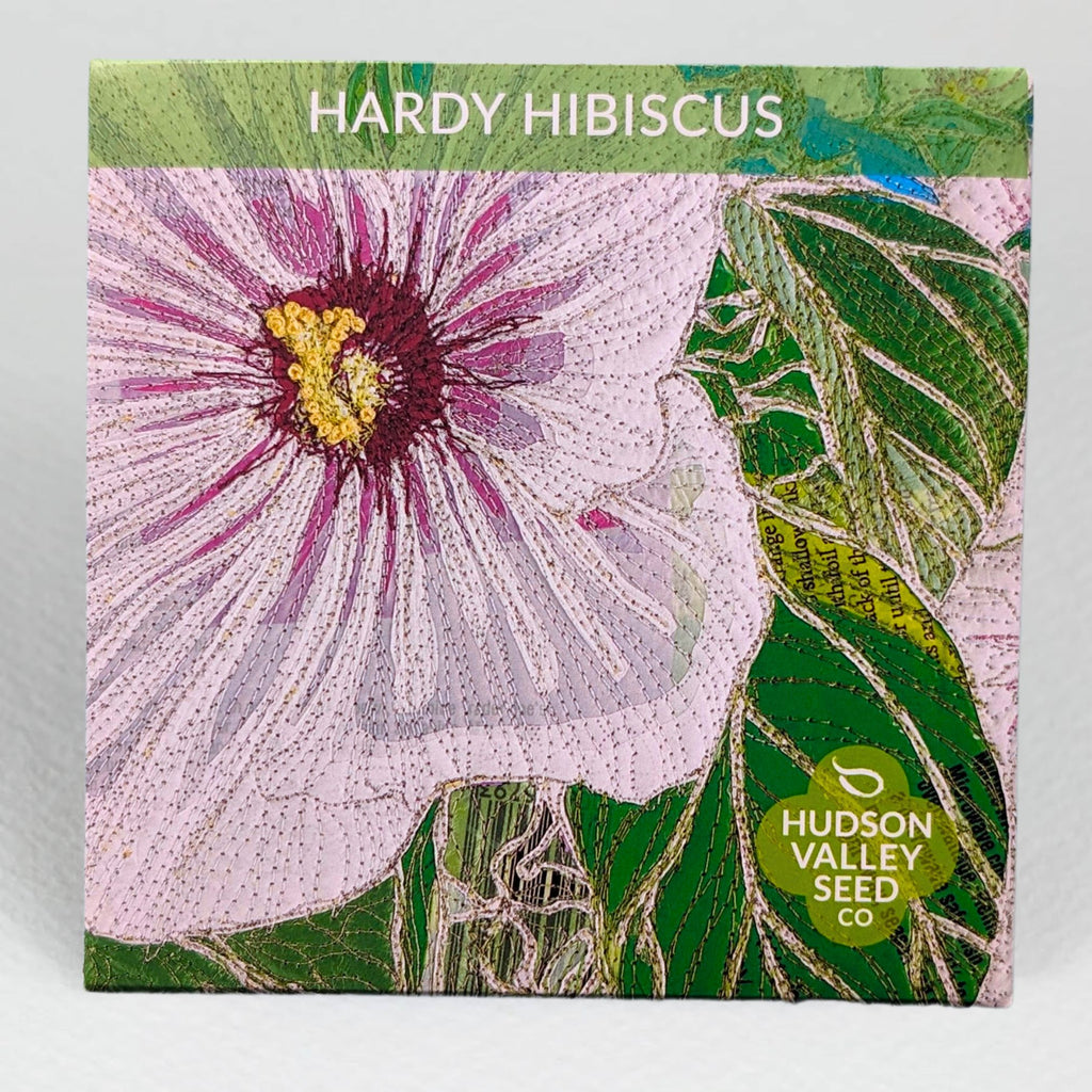 Hardy Hibiscus Organic Seeds – Hudson Valley Seed Company