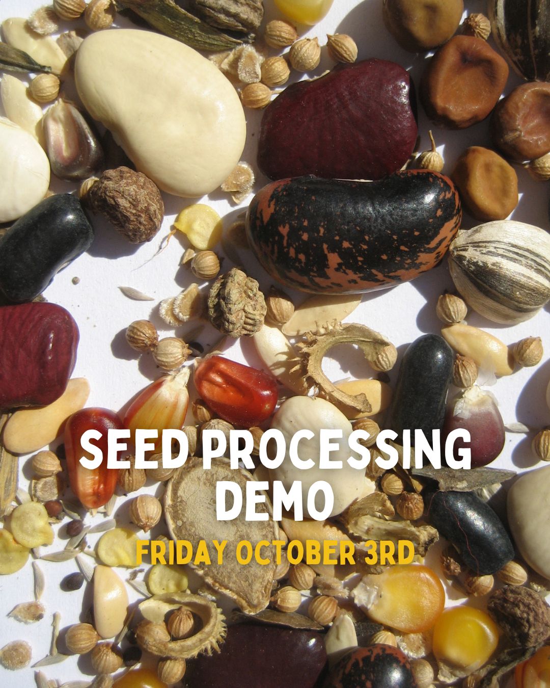 Seed Processing Demonstration - 10/3