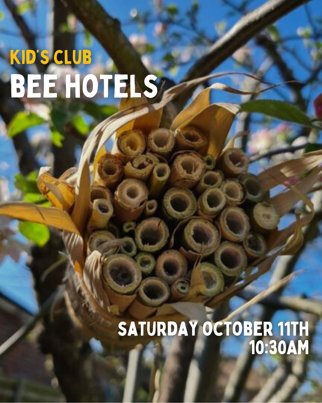 Bee Hotel - KID&