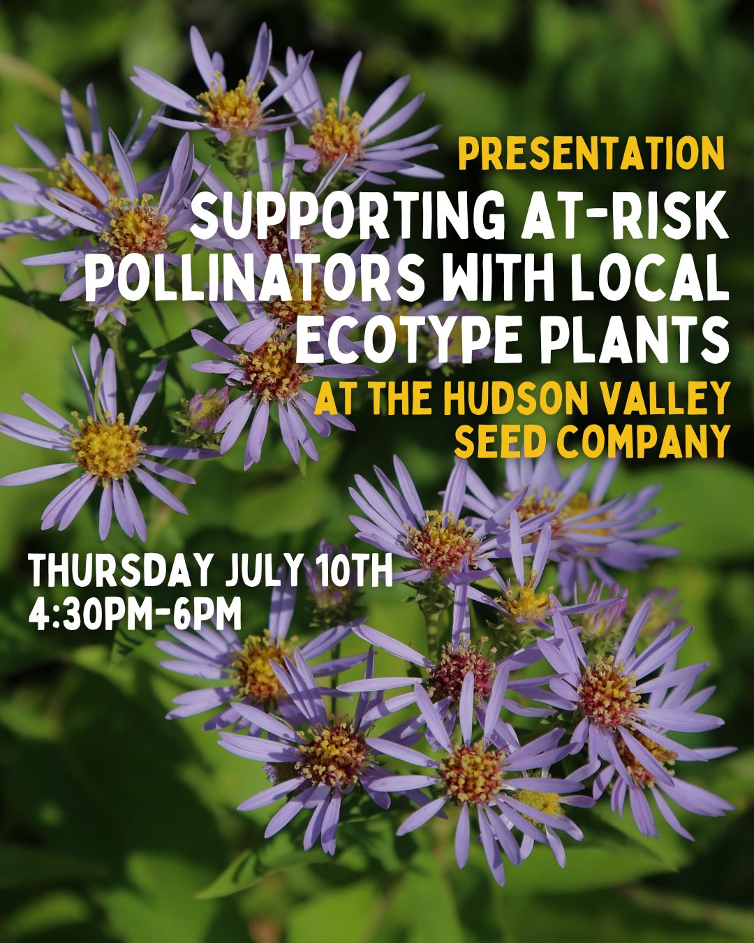 At-Risk Pollinators with Pollinate HV - 7/10/25