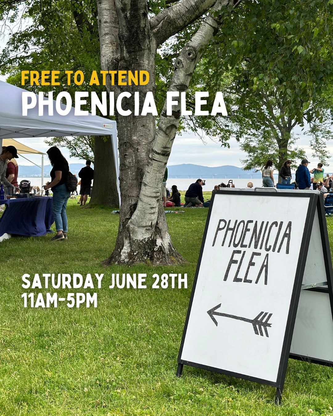 Phoenicia Flea 6/28/25