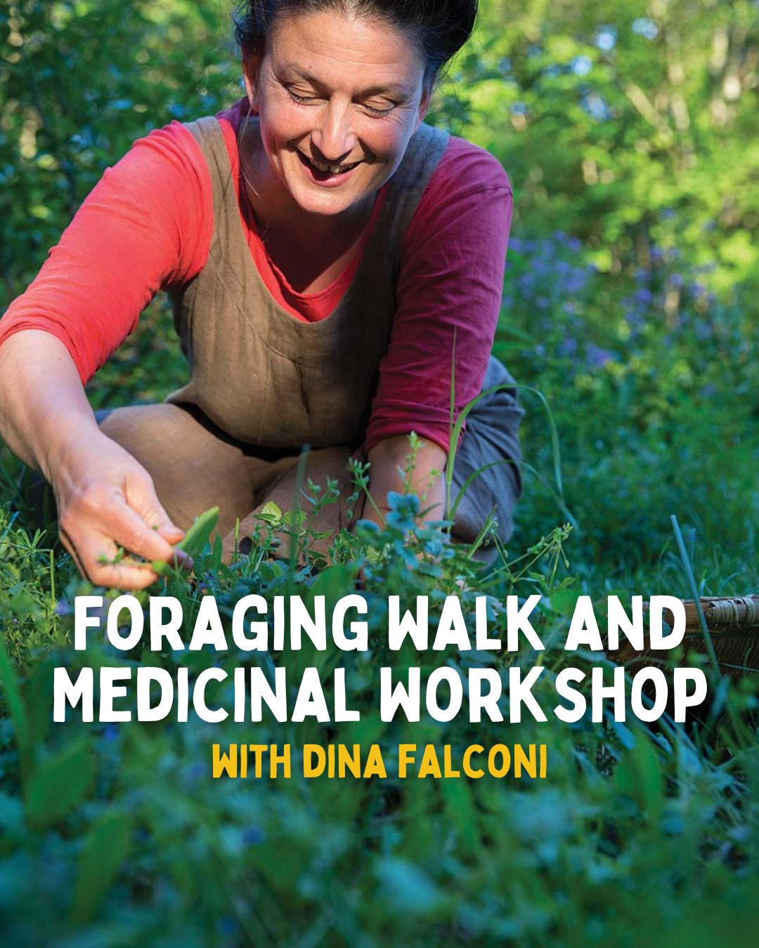 Foraging Walk and Medicinal Workshop with Dina Falconi 9-13-25