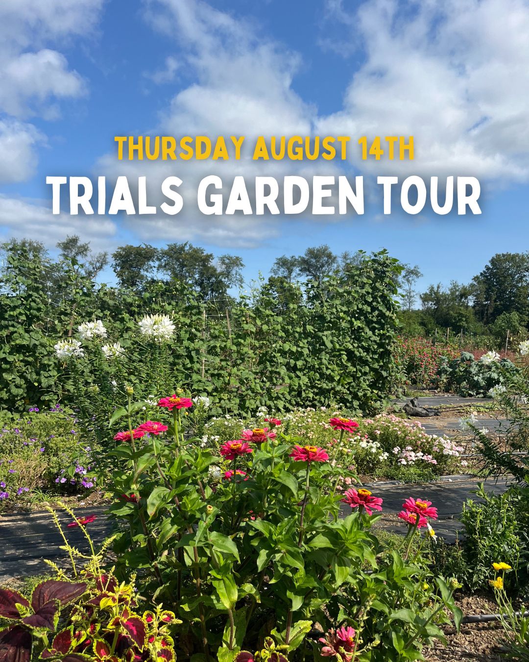Trials Garden Tour - Thurs. 8/14 - 10:30 AM
