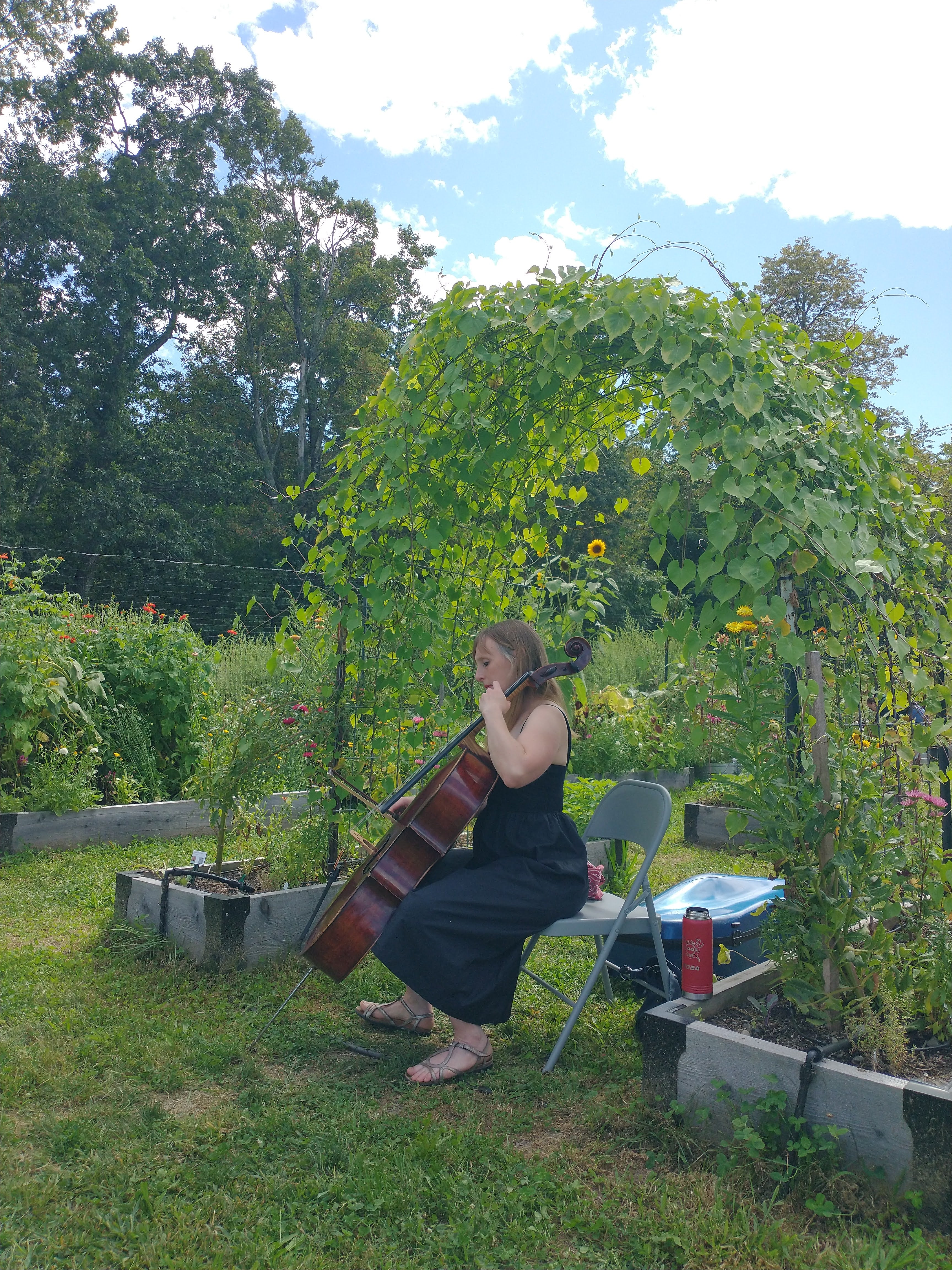 Tomato Fest! - Sat 9/5 - 1PM to 4PM