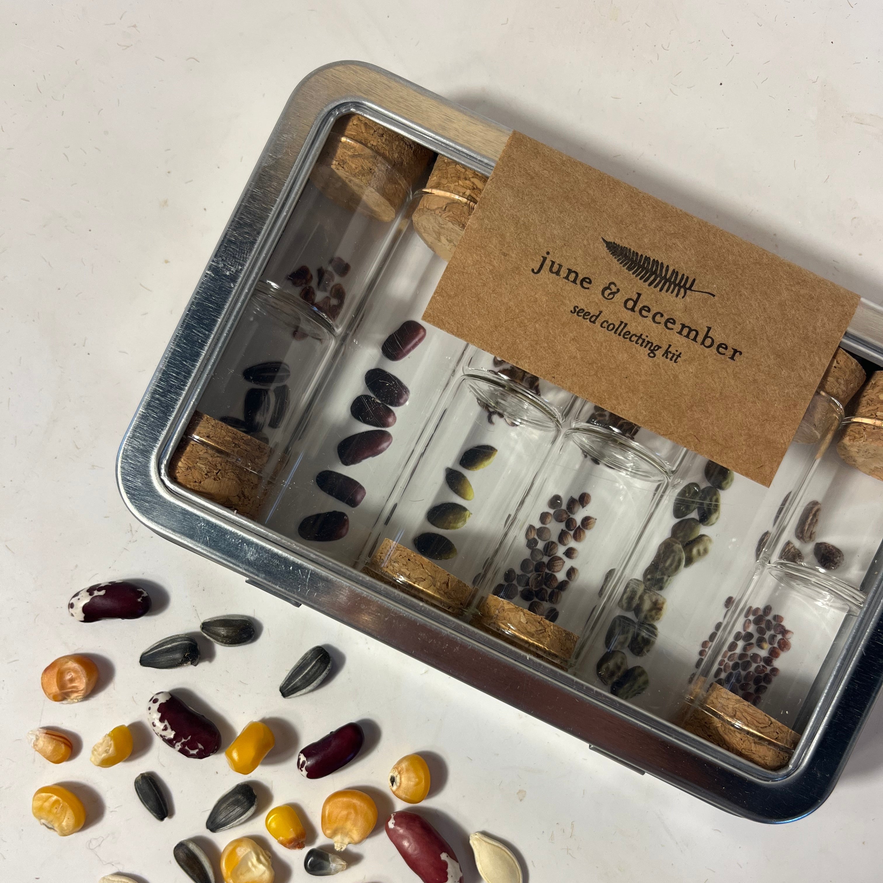 Seed Saving Kit