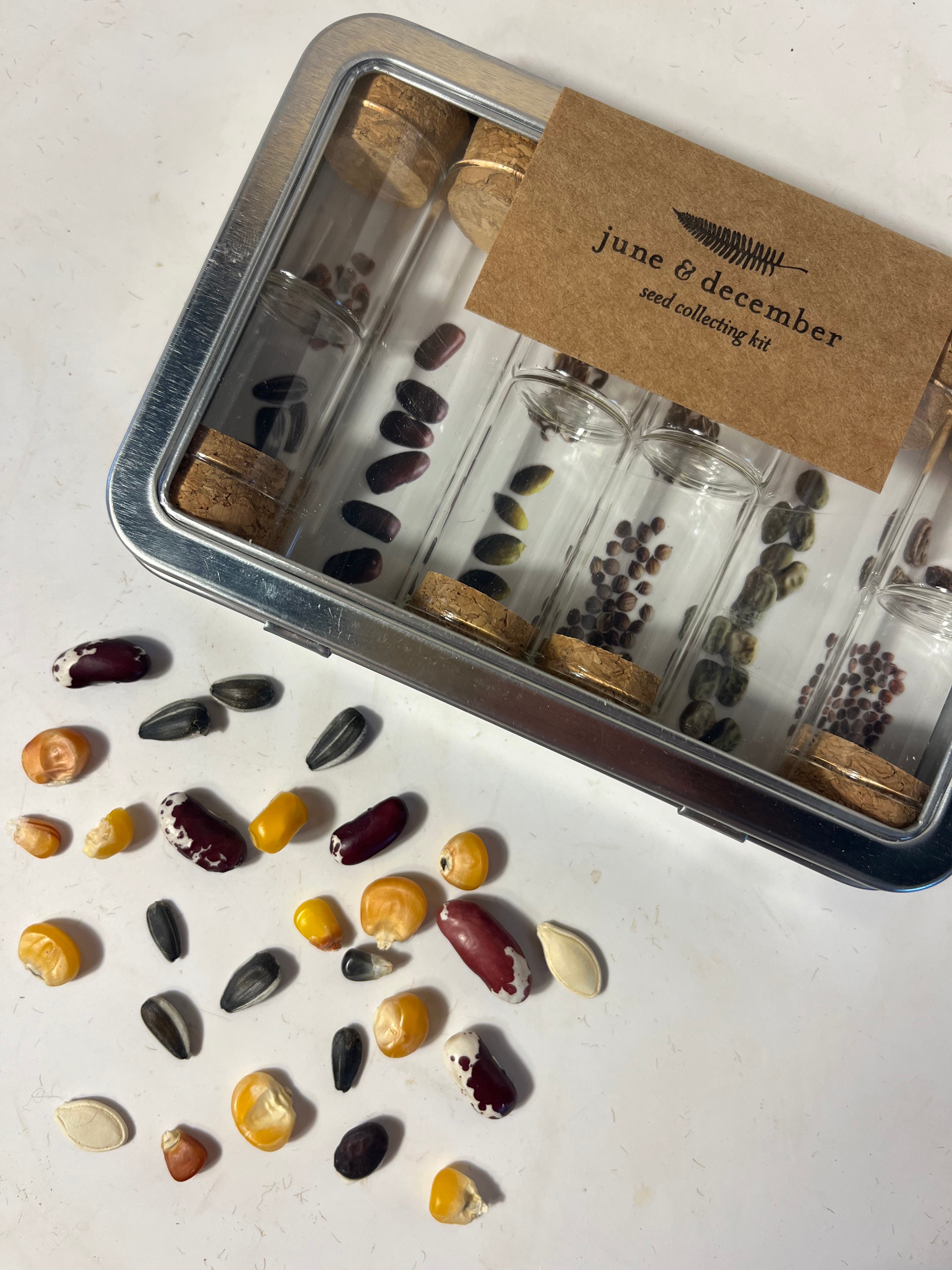 Seed Saving Kit