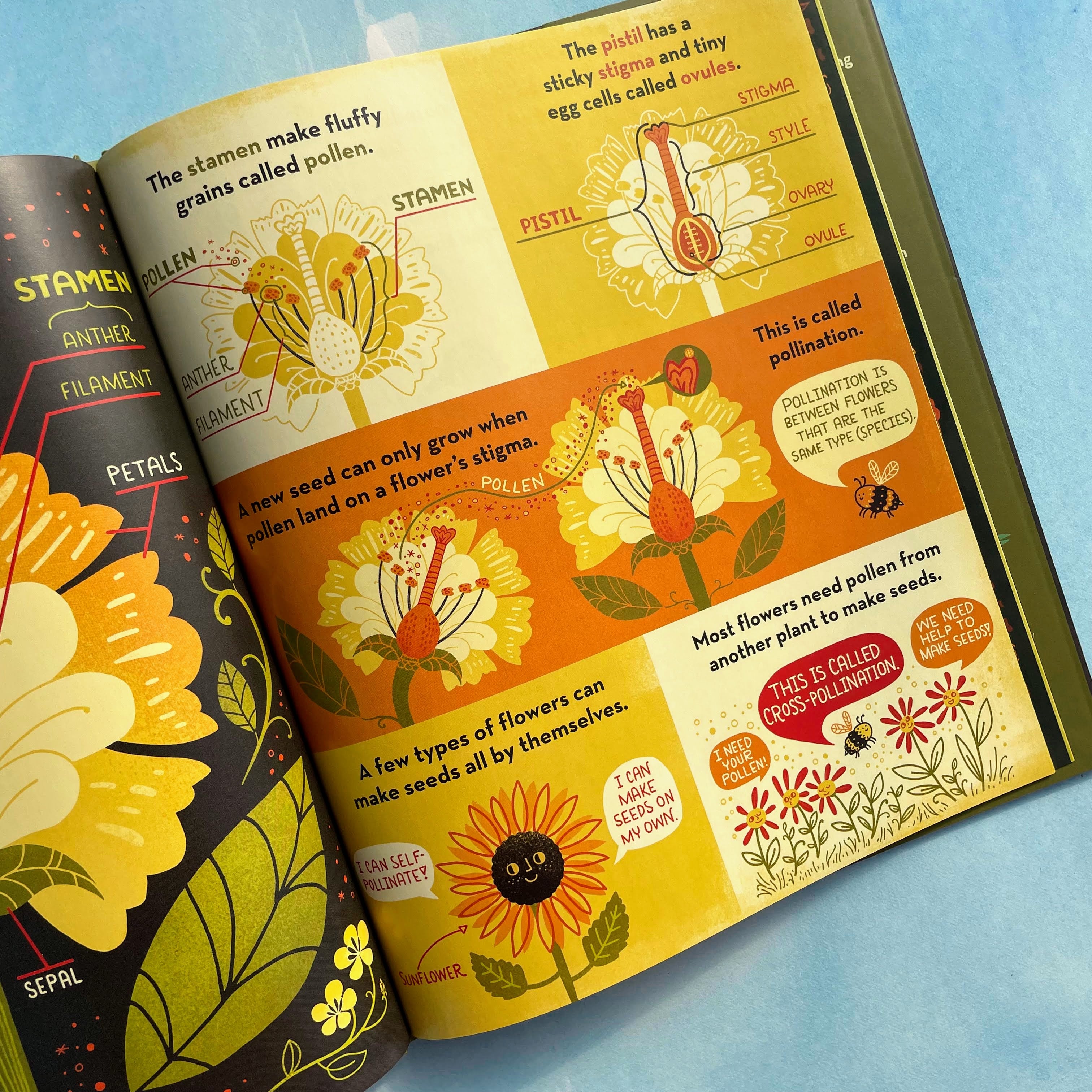 20+ Flower Inside What's Inside a Flower by Rachel Ignotofsky – Hudson Valley Seed Company