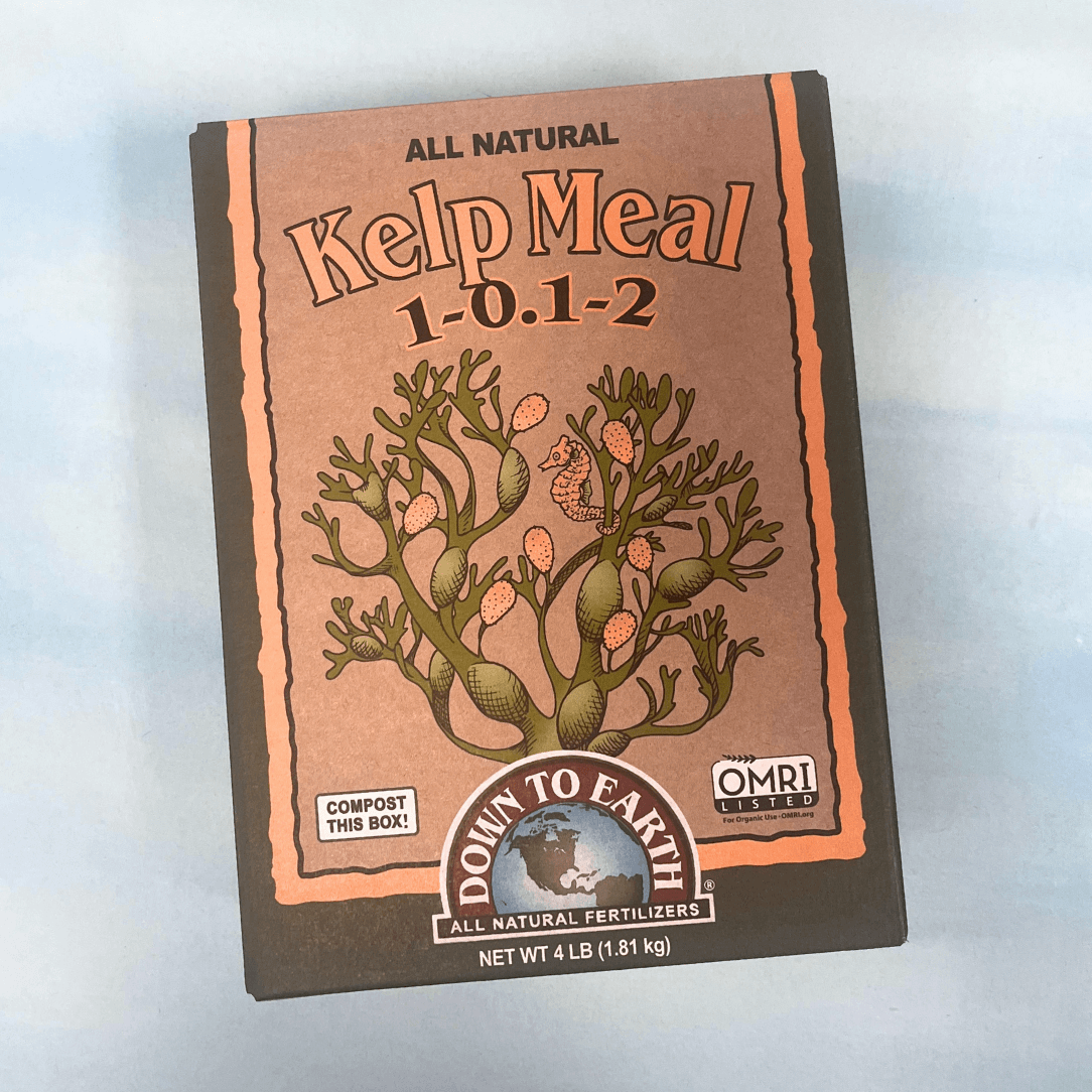 Kelp Meal