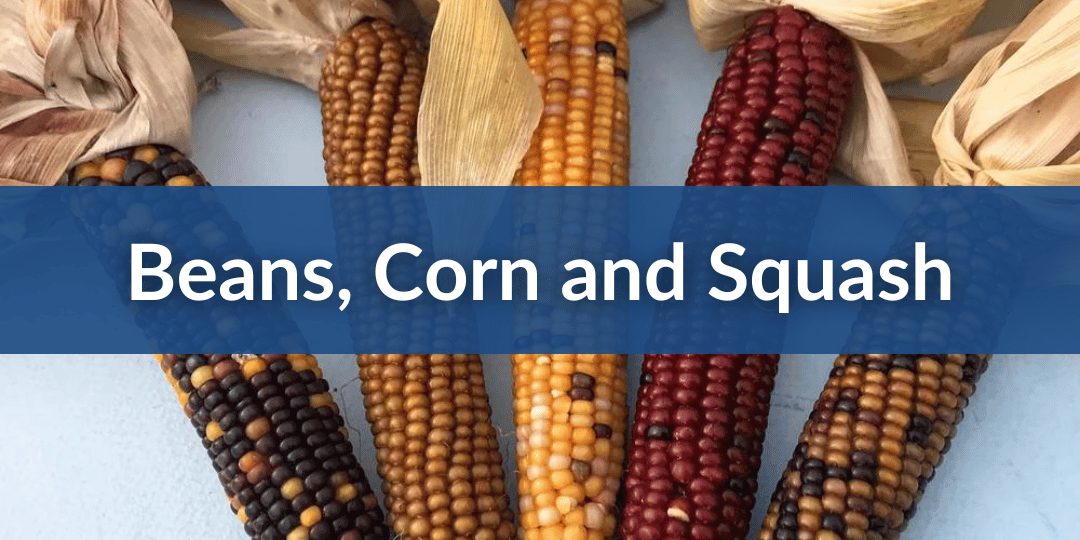 Mobile Beans, Corn and Squash.png__PID:74c0fbd2-b687-4334-a758-1ce696dfde60