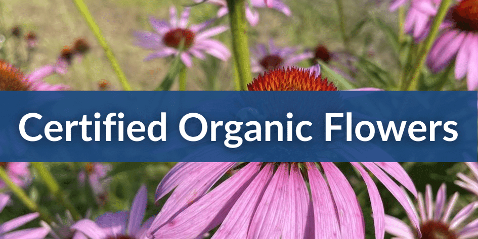 Mobile Certified Organic Flowers (1).png__PID:ba126ca5-d350-443a-9d87-60ea724c2ae6