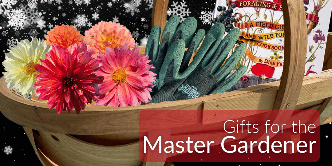Mobile Master Gardener (1).png__PID:3b467855-4687-407e-b1e2-6a1a9a95105a